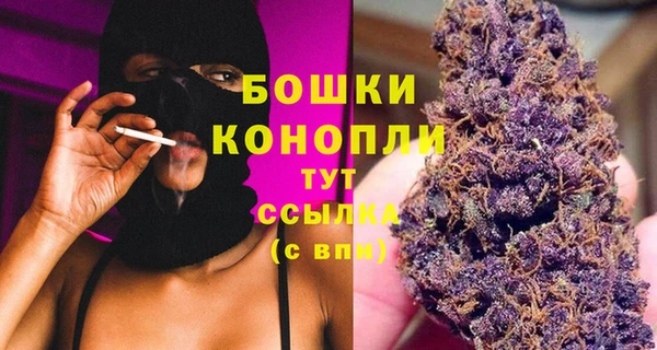 прущие грибы Арсеньев