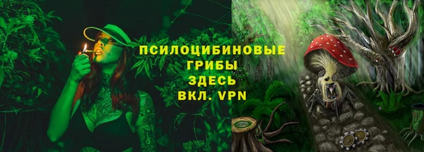 мет Аркадак