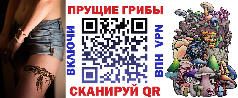 как найти   Салаир  Галлюциногенные грибы прущие грибы 